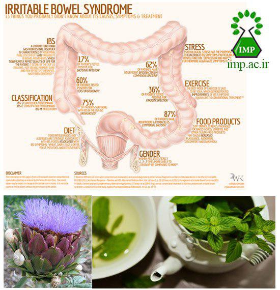 /Uploads/News/سندروم روده تحريك پذير  IBS(Irritable Bowel Syndrome)