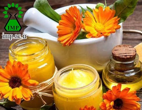 /Uploads/News/خواص درمانی گل همیشه بهار بر پوستCalendula officinalis 