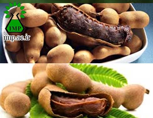 /Uploads/News/خواص آنتی اکسیدانی تمبرهندی  Tamarindus indica 