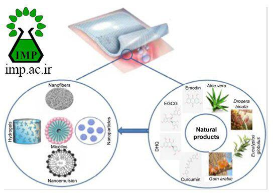 /Uploads/News/نانو ساختارهای گیاهی و ترمیم زخم 