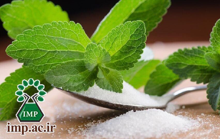 /Uploads/News/گیاه استویا (Stevia rebaudiana ) و کاربردهای آن  
