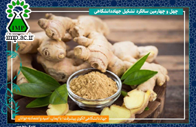 /Uploads/News/تولید نشاء استاندارد زنجبیل از طریق کشت بافت توسط پژوهشکده گیاهان دارویی جهاددانشگاهی