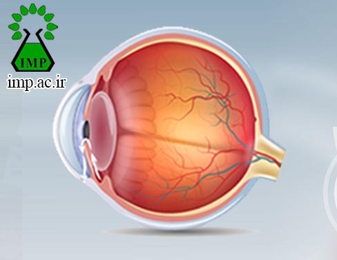 /Uploads/News/درمان طبیعی درگیری شبکیه چشم در اثر دیابت 