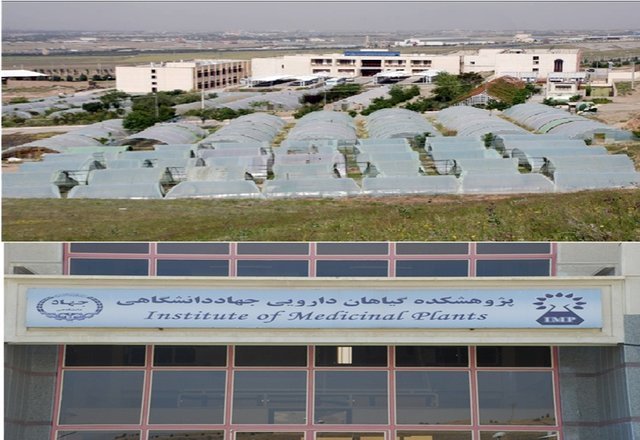 /Uploads/News/مروری بر دستاوردهای پژوهشکده گیاهان دارویی در آستانه نوزدهمین سالگرد تاسیس