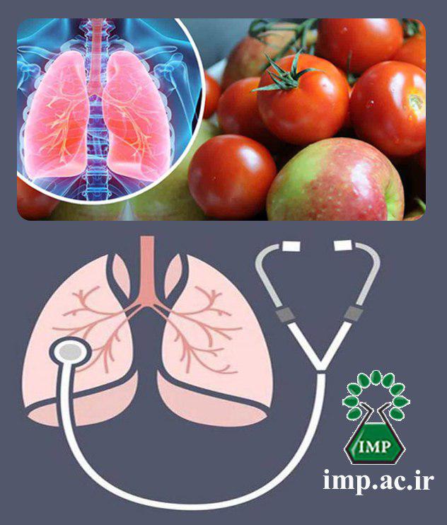 /Uploads/News/تاءثیر میوه و سبزیجات بر سلامت ریه