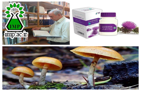/Uploads/News/تاثیر گیاه ماریتیغال و عصاره سیلیمارین آن در درمان مسمومیت‌های ناشی از مصرف قارچ‌های سمی