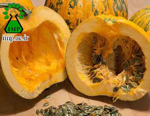 /Uploads/News/خواص دارویی کدوتخمه کاغذی pepo Cucurbita  