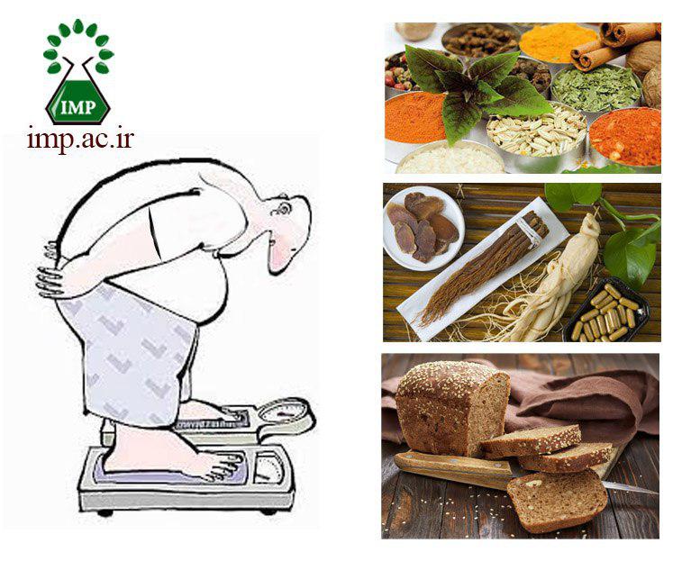 /Uploads/News/گیاهان دارویی، چاقی و اضافه وزن(بخش 1)