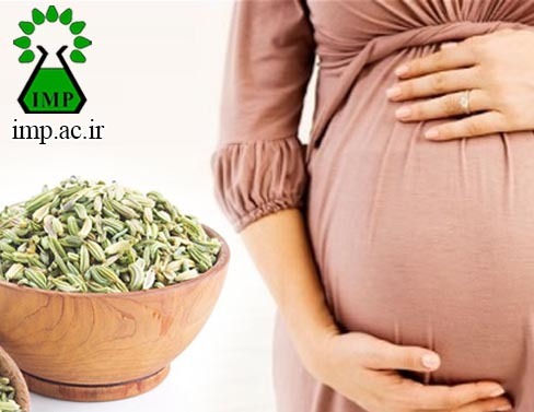 /Uploads/News/اثر مصرف گیاهان دارویی در دوران بارداری 