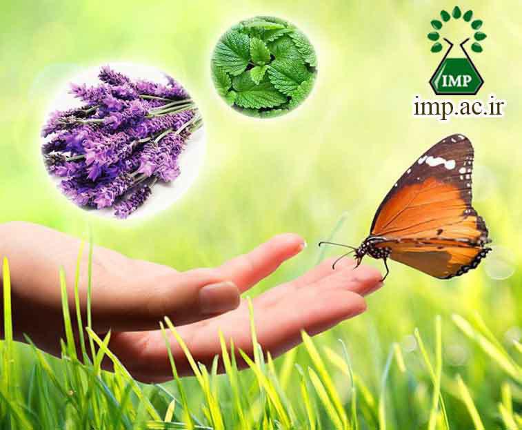 /Uploads/News/آرام بخش های گیاهان دارویی بر روی دستگاه های بدن