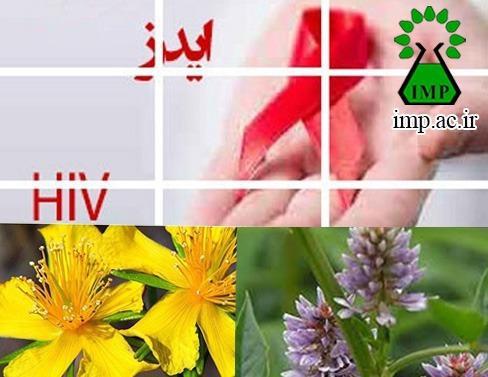 /Uploads/News/گیاهان دارویی که در درمان ایدز موثر هستند.