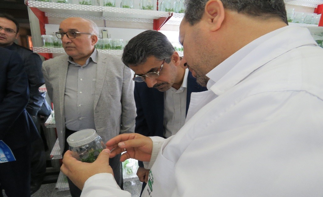 /Uploads/News/بازدید رئیس و مدیران دانشگاه بصره عراق از پژوهشکده گیاهان دارویی 