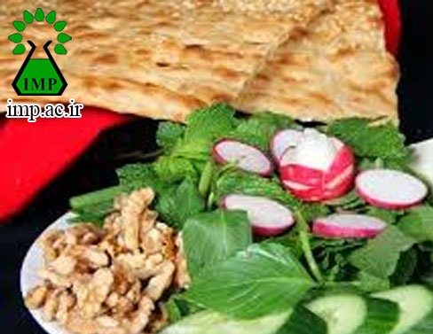 /Uploads/News/فواید مصرف گیاه نعناع در ماه رمضان  Mentha  