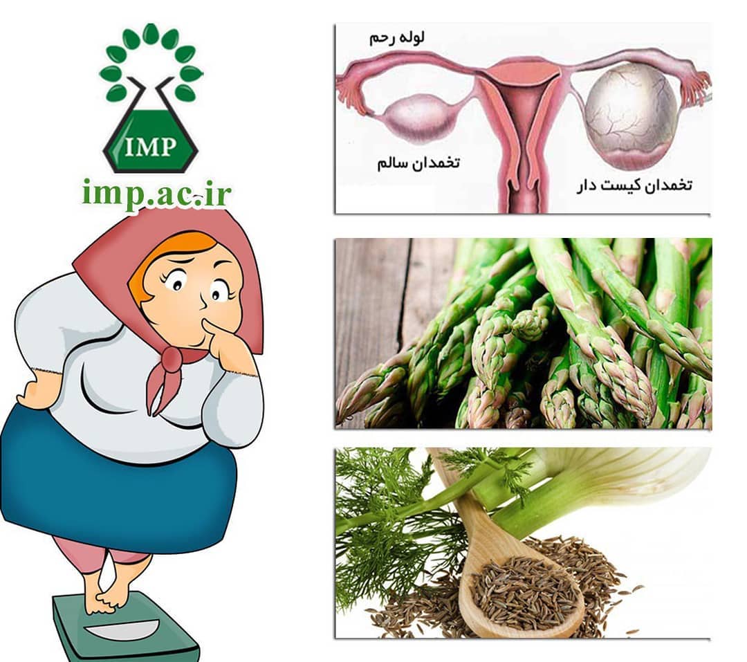 /Uploads/News/گیاهان دارویی موثر در درمان سندرم تخمدان پلی کیستیک   PCOS