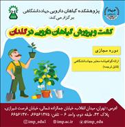 کاشت گیاهان دارویی در گلدان