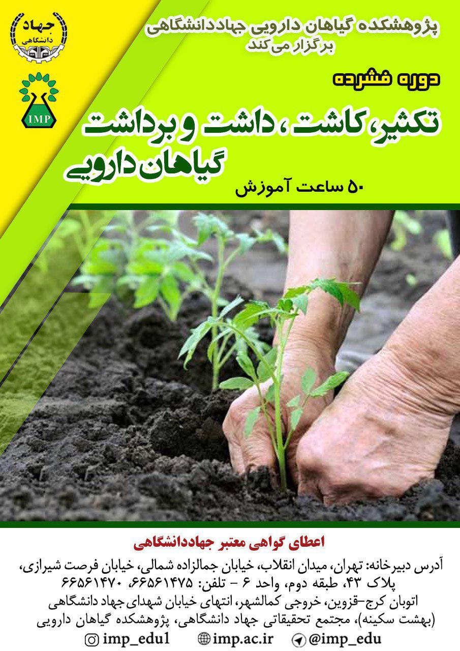 آموزش